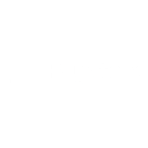 paystand logo